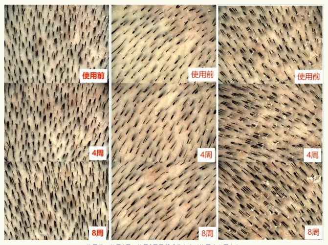 1689822473192 1689822473192